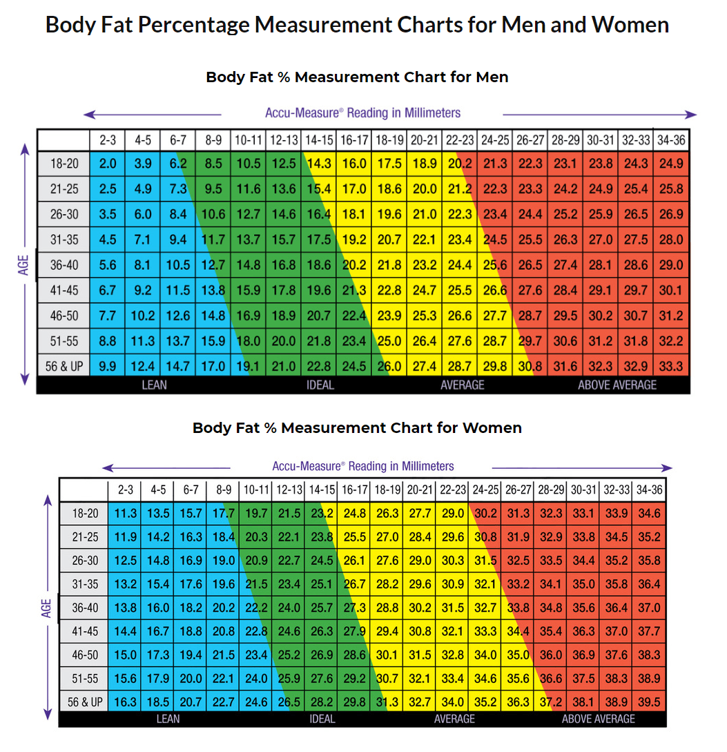 คีมวัดความหนา Fat Measure Caliper คีมวัดความหนา Fat Measure Caliper