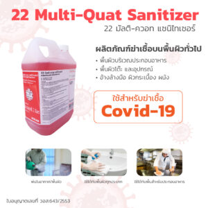 22 มัลติ-ควอทแซนิไทเซอร์ 22 Multi-Quat Sanitizer 2 l.