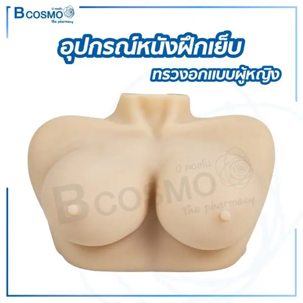 อุปกรณ์หนังฝึกเย็บทรวงอก แบบผู้หญิง