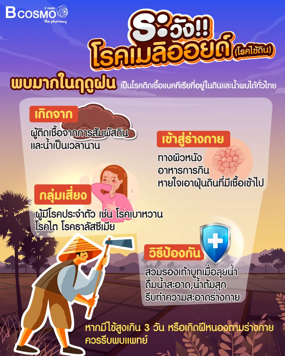 โรคเมลิออยด์ โรคประจำถิ่นที่อันตรายถึงชีวิต ! รู้ไว้ให้เท่าทัน ป้องกันตนเอง โรคเมลิออยด์ โรคประจำถิ่นที่อันตรายถึงชีวิต ! รู้ไว้ให้เท่าทัน ป้องกันตนเอง
