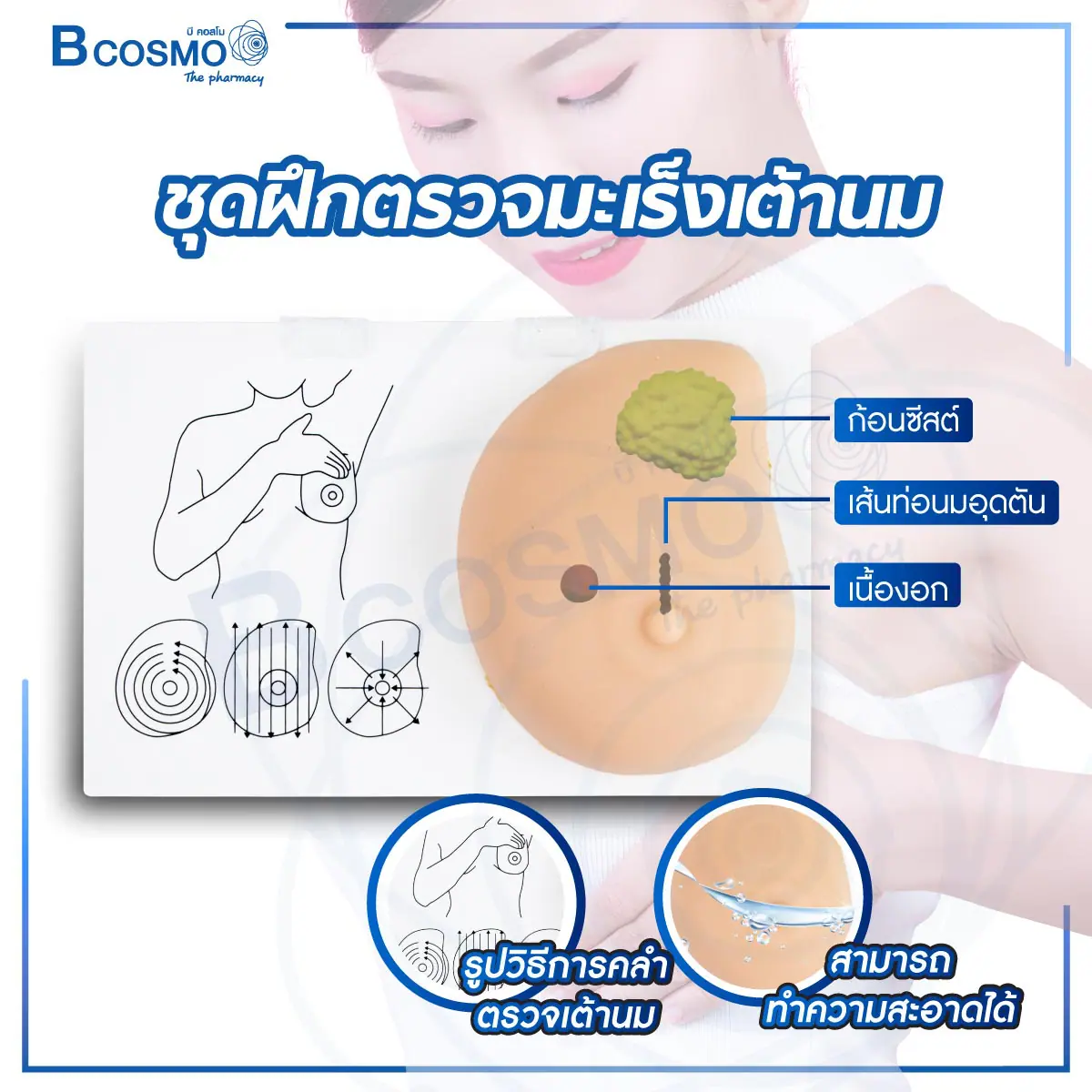 ชุดฝึกตรวจมะเร็งเต้านม