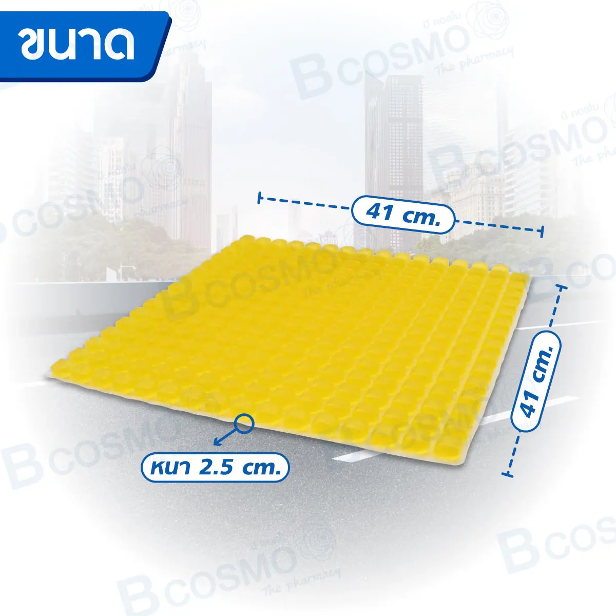 เบาะเจลรองนั่ง Howell High protection Pad (Salient Point) HE161 เบาะเจลรองนั่ง Howell High protection Pad (Salient Point) HE1616