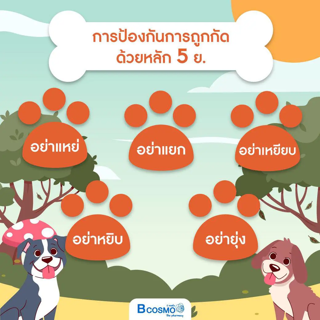 วันป้องกันโรคพิษสุนัขบ้าโลก World Rabies Day วันป้องกันโรคพิษสุนัขบ้าโลก World Rabies Day