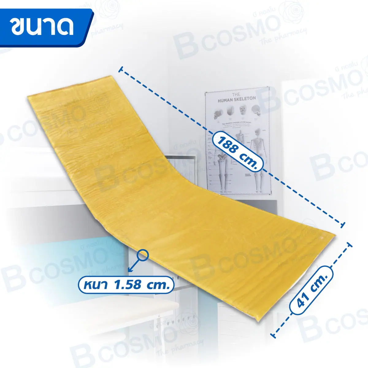 ที่นอนเจล ACTION USA Full Mattress Overlay 6303 ที่นอนเจล ACTION USA Full Mattress Overlay 6303