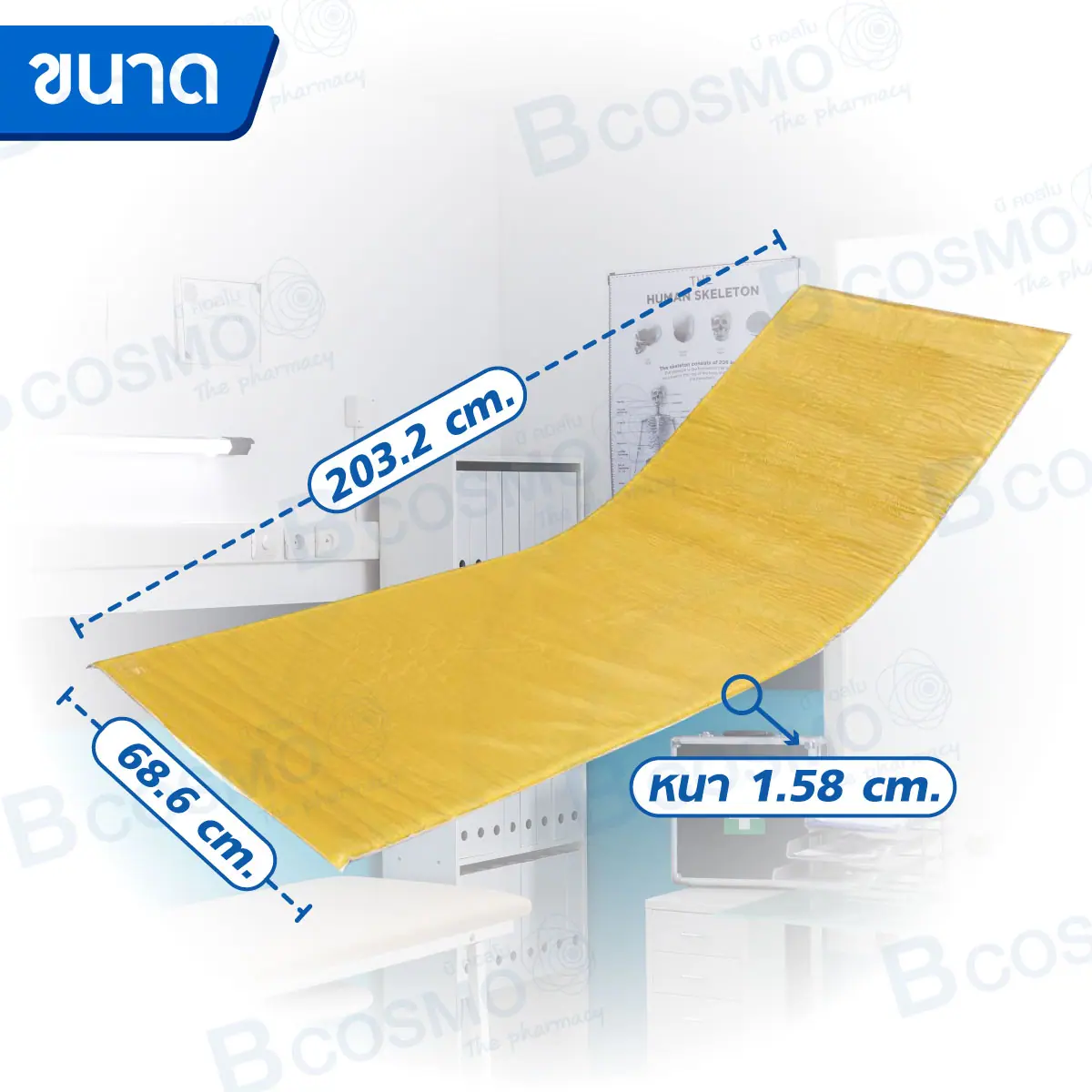 ที่นอนเจล ACTION USA Full Mattress Overlay 6301