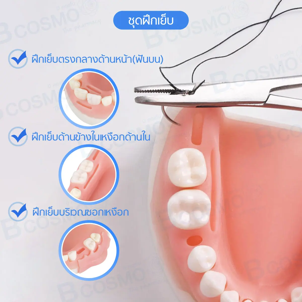 ชุดฝึกเย็บฟันและเหงือก