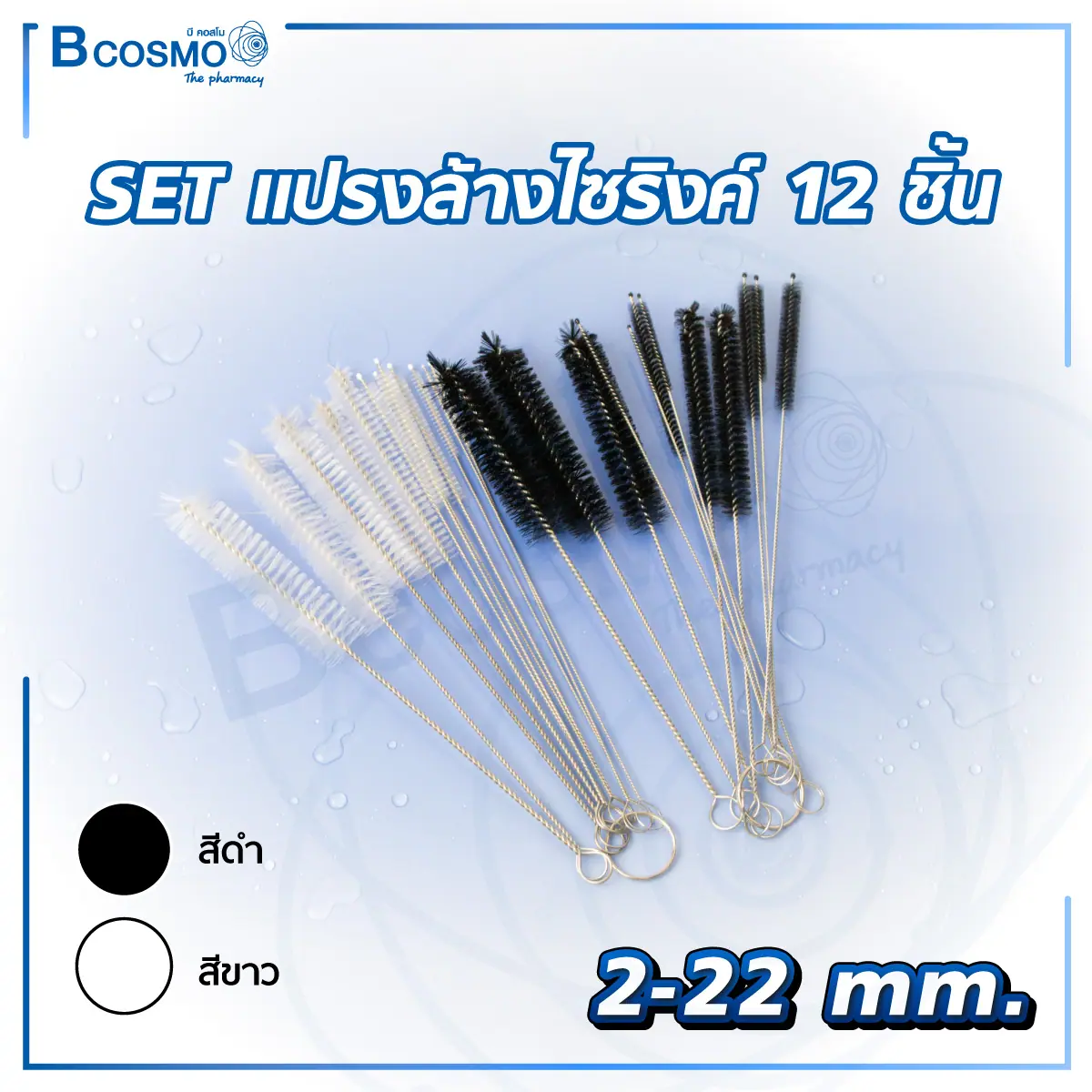 ชุดแปรงล้างไซริงค์ 12 ชิ้น 2-22 mm.