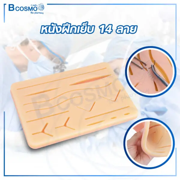 หนังฝึกเย็บ 14 ลาย