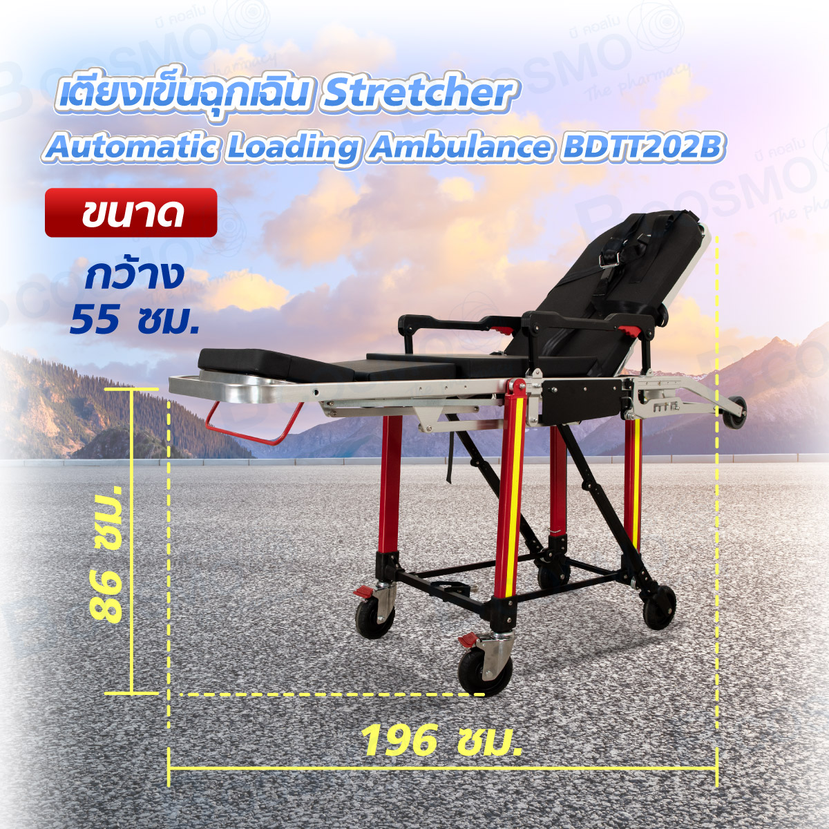 เตียงเข็นฉุกเฉิน Stretcher Automatic Loading Ambulance BDTT202B