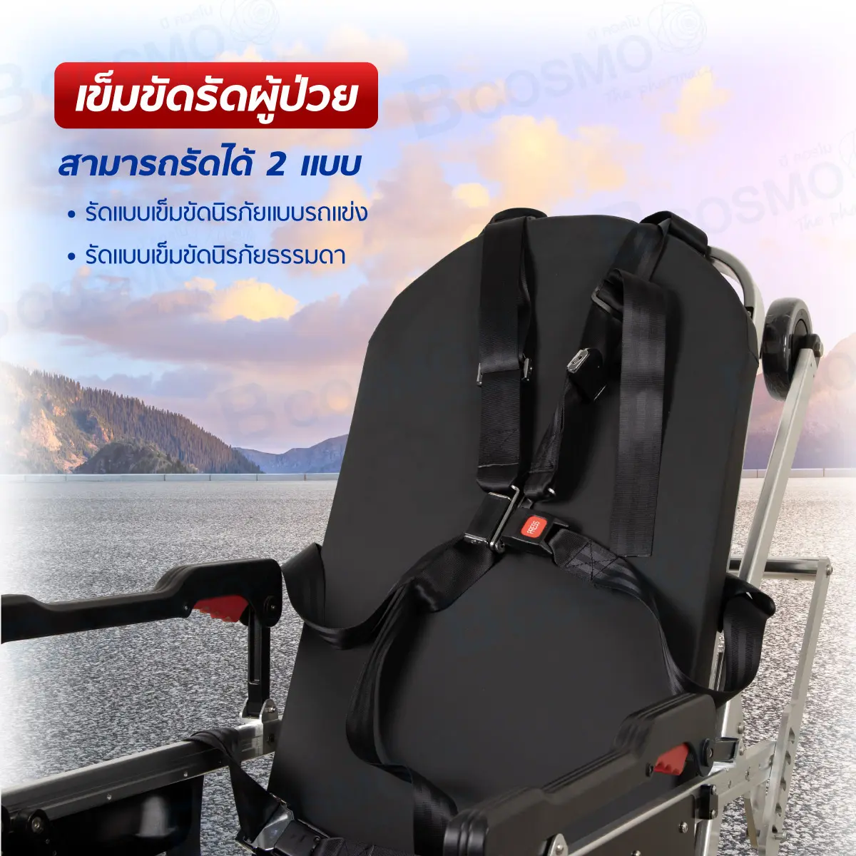 เตียงเข็นฉุกเฉิน Stretcher Automatic Loading Ambulance BDTT202B เตียงเข็นฉุกเฉิน Stretcher Automatic Loading Ambulance BDTT202B
