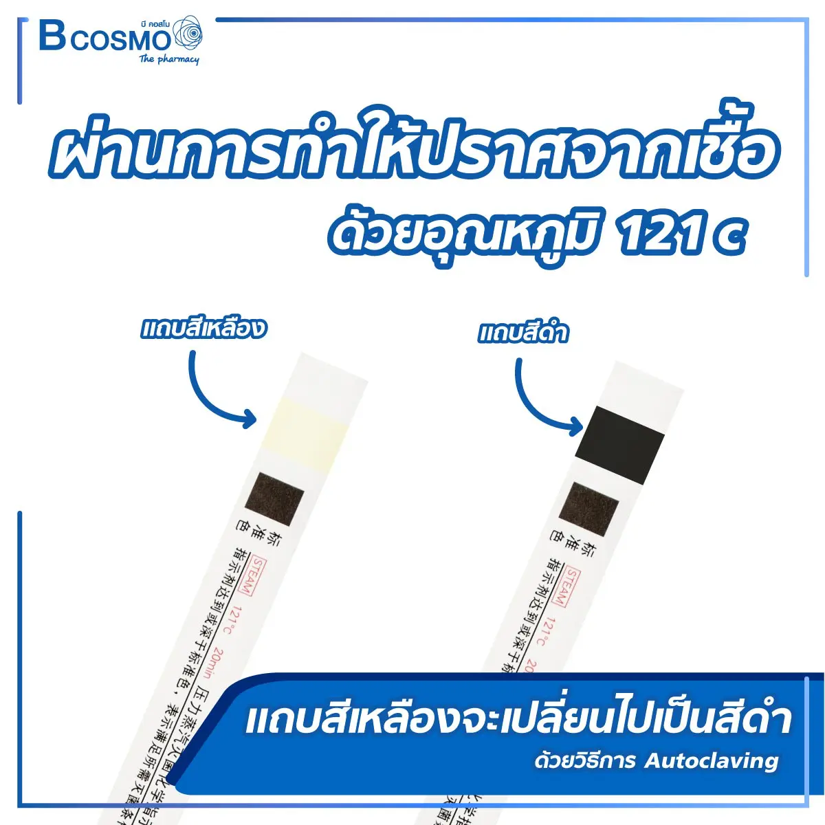 แผ่นทดสอบการฆ่าเชื้อ SHINVA 200 ชิ้น