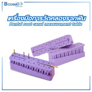 เครื่องมือการวัดคลองรากฟัน Dental root canal measurement table