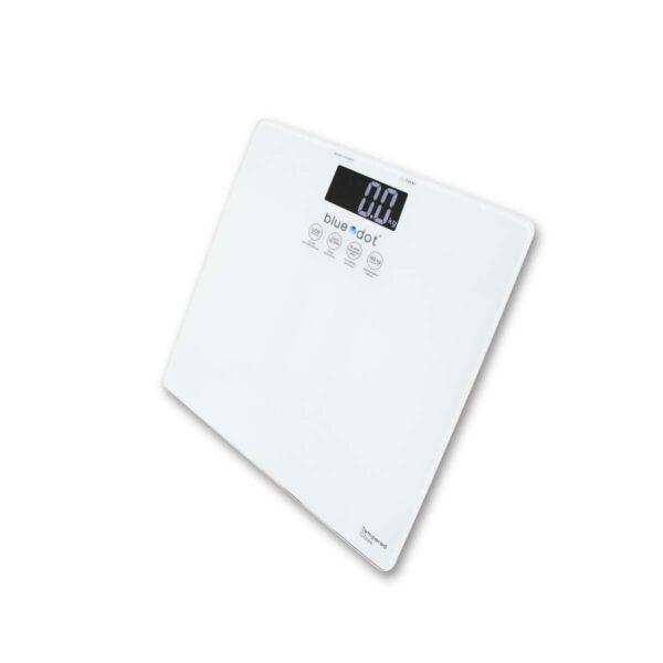 เครื่องชั่งน้ำหนัก BLUEDOT B-GS221