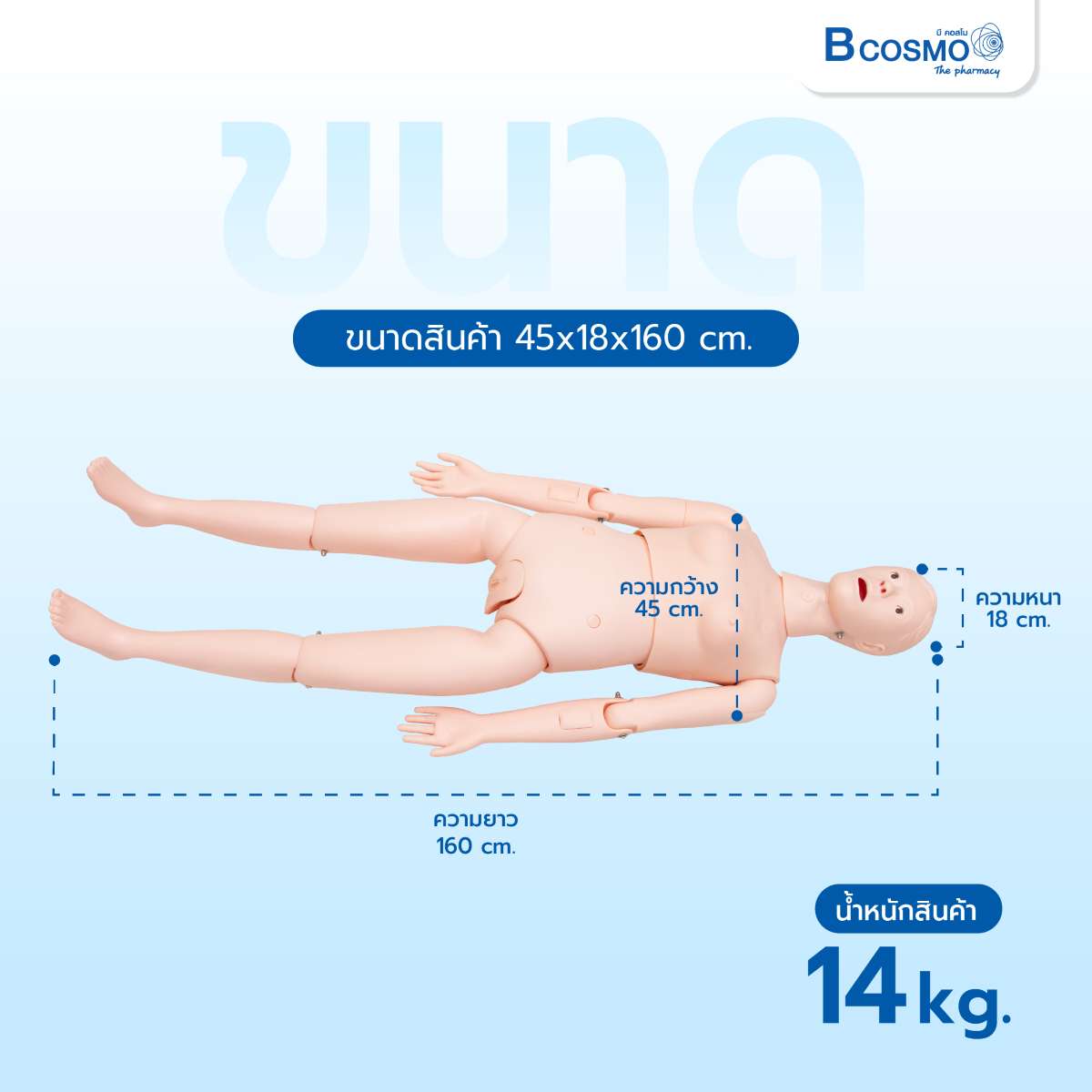 หุ่นฝึกการปฐมพยาบาลขั้นพื้นฐาน หุ่นจำลอง