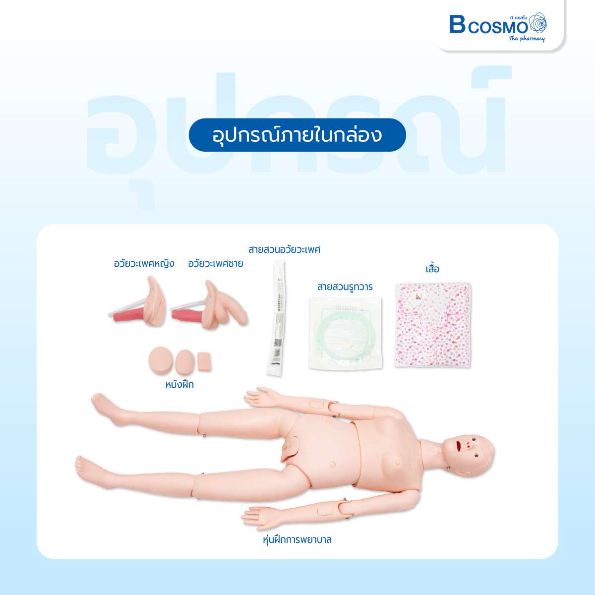 หุ่นฝึกการปฐมพยาบาลขั้นพื้นฐาน หุ่นจำลอง