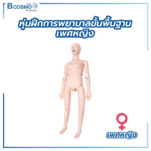 หุ่นฝึกการปฐมพยาบาลขั้นพื้นฐาน หุ่นจำลอง