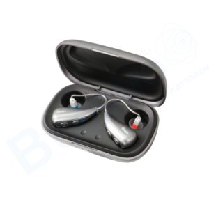 เครื่องช่วยฟังแบบชาร์จ OTC Digital Hearing Aids T007